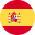 Language Flag