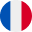 Language Flag