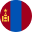 Language Flag