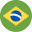 Language Flag